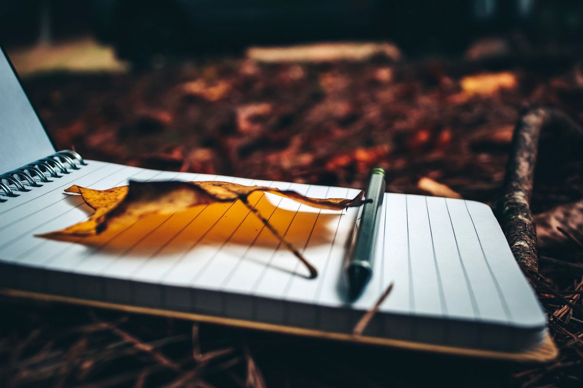 10 Journalling Prompts for a British Autumn Reset